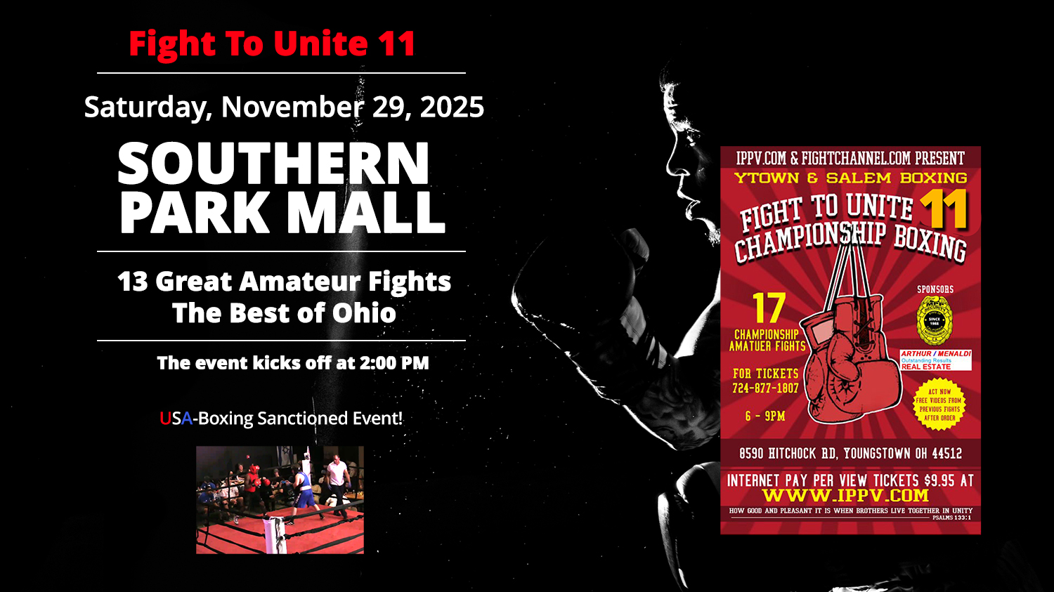 Fight to Unite 11 poster